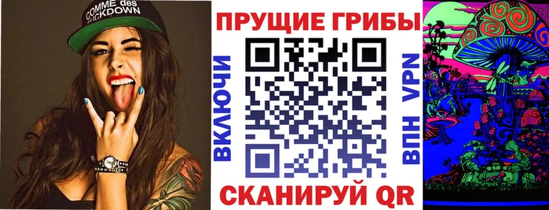 даркнет сайт  Цоци-Юрт  Псилоцибиновые грибы Psilocybe 